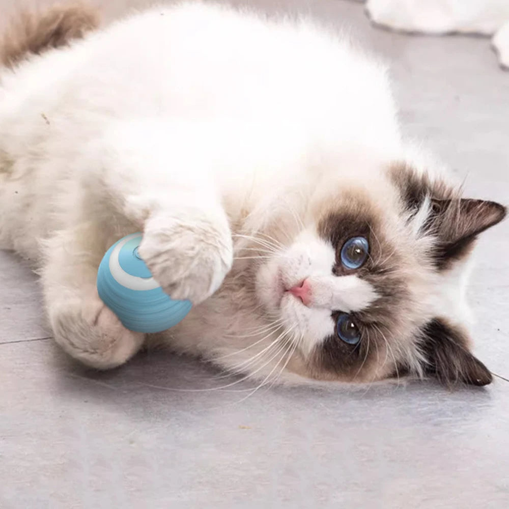 BallCat, el mejor amigo de tu gato o gata