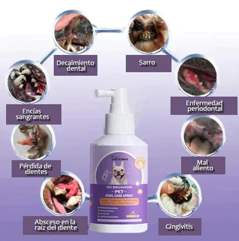 DentaSmile - Limpiador Dental en Spray para Perros y Gatos