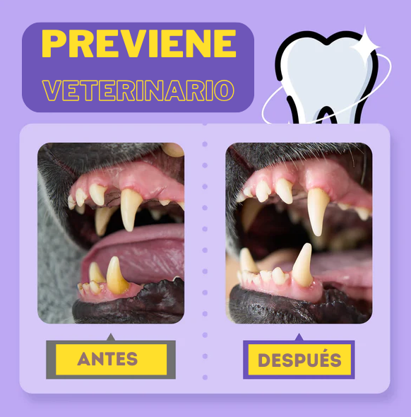 DentaSmile - Limpiador Dental en Spray para Perros y Gatos