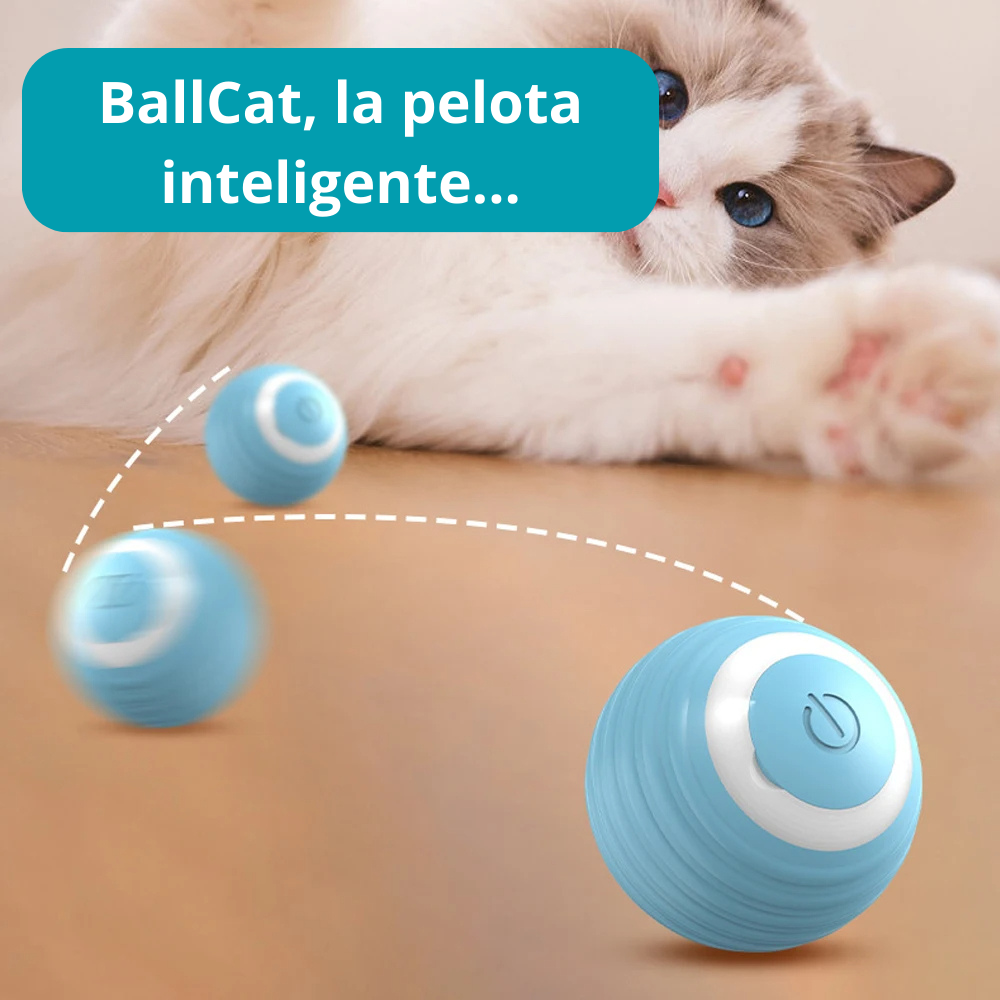 BallCat, el mejor amigo de tu gato o gata