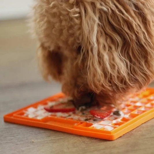 BONE Licking mat