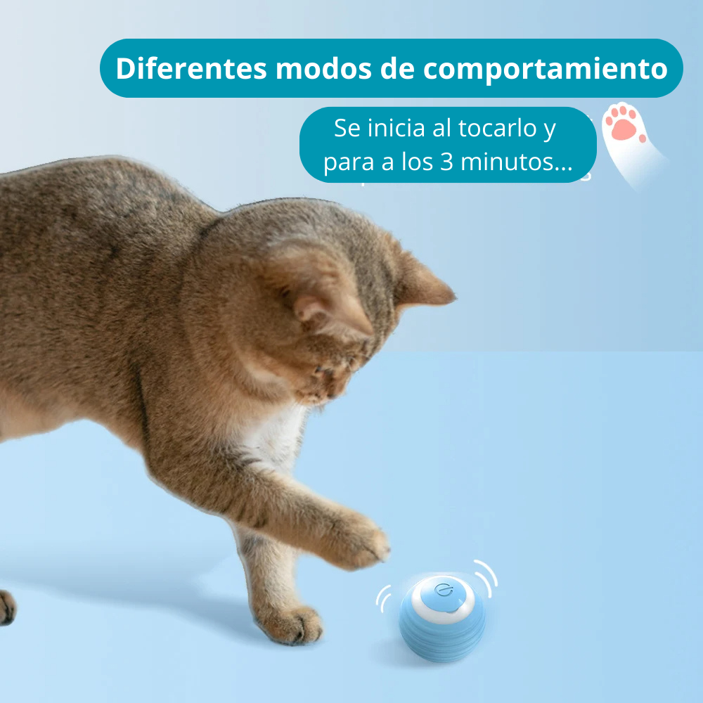 BallCat, el mejor amigo de tu gato o gata