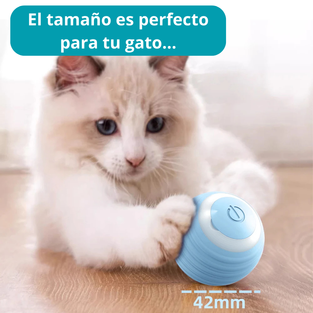 BallCat, el mejor amigo de tu gato o gata